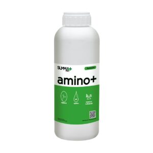 Amino +