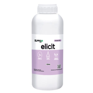 Elicit